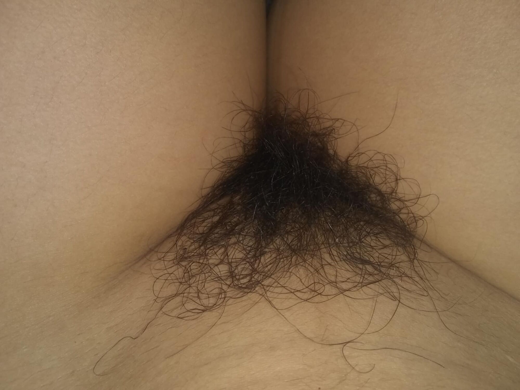 rajce idnes pussy dragobolldaima – seznam alb na Rajčeti