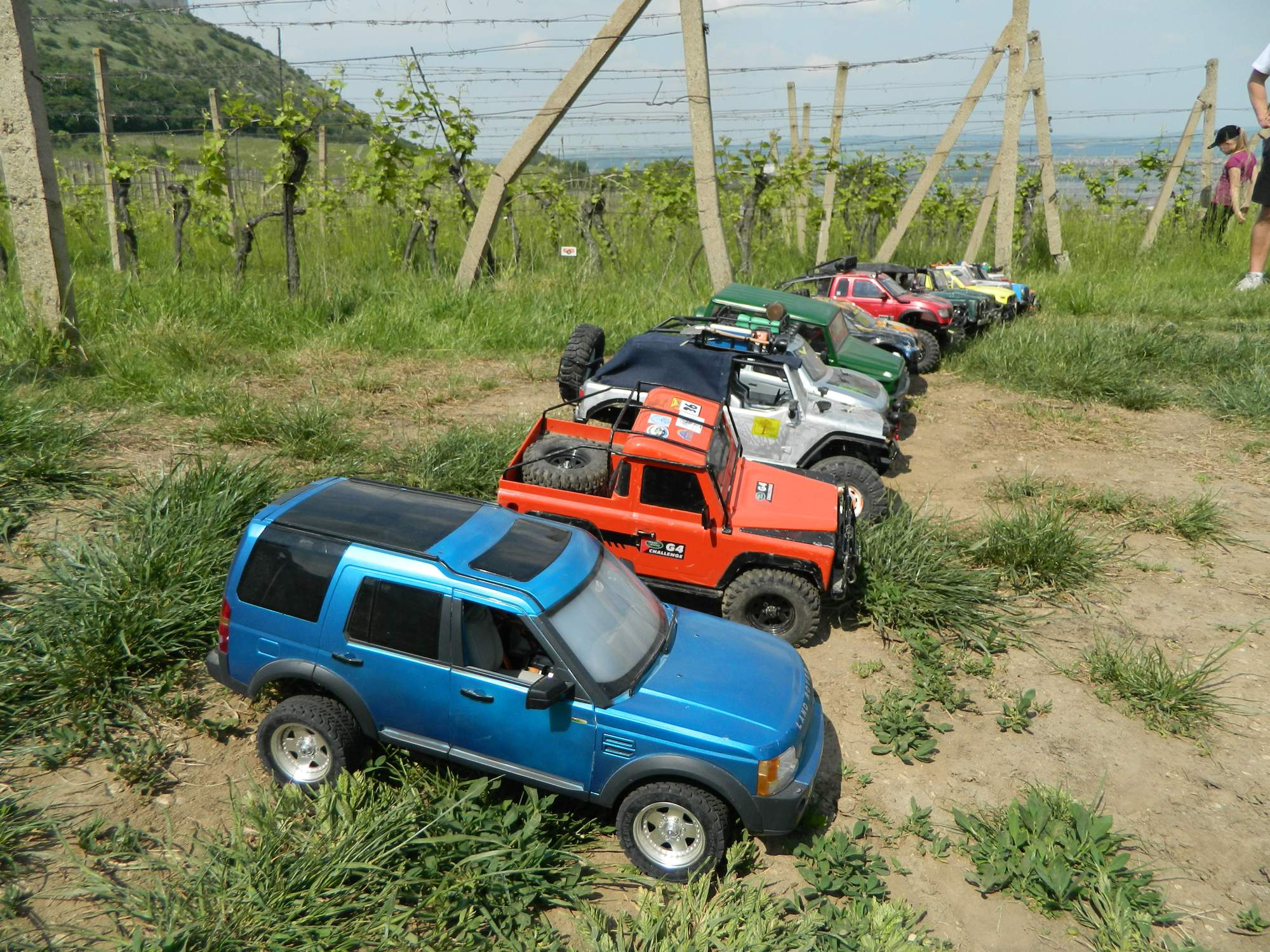 Obrázek