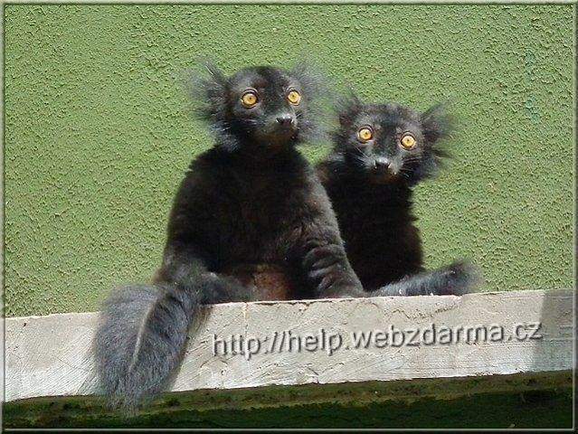 strasidielka