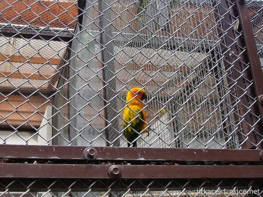 Pelhřimov - Děkanská zahrada - voliéra s papoušky