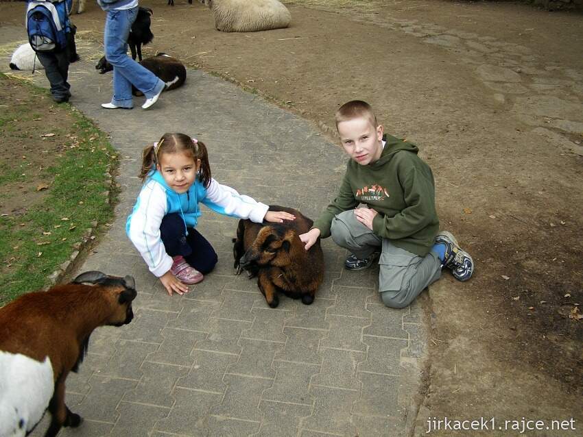 Brno - ZOO - Zoologická zahrada 2007 - Babiččin dvoreček