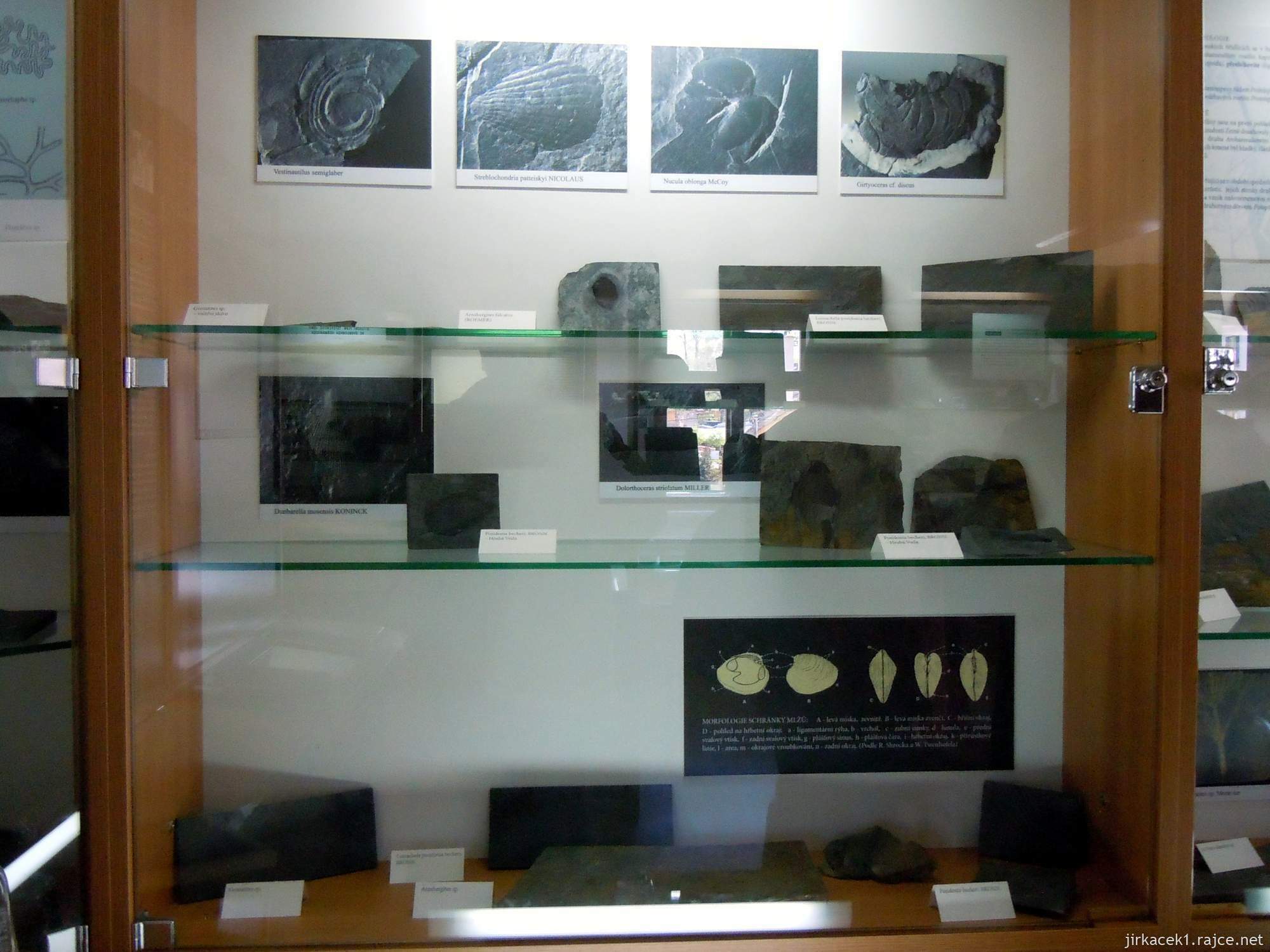 Budišov nad Budišovkou - muzeum břidlice - expozice