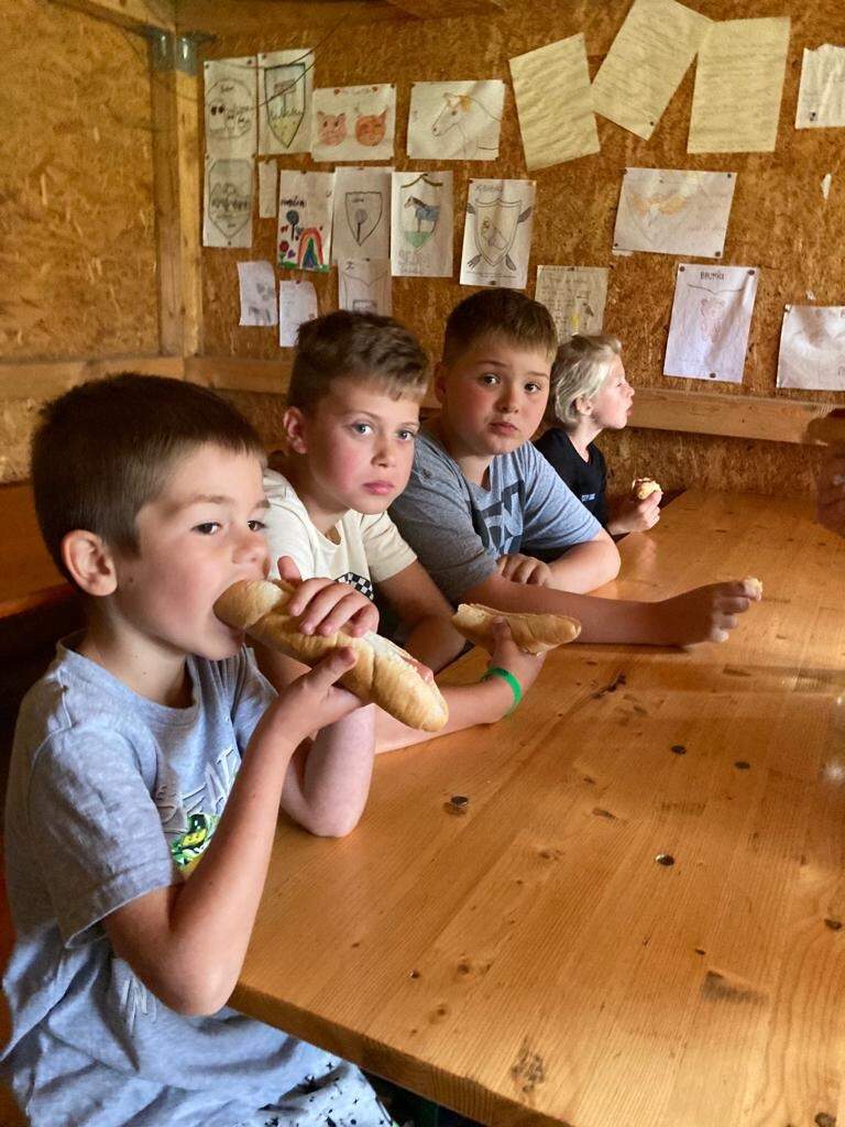 305 rajce cz. Tábor 5.turnus ( 30.7.2023 - 5.8.2023 ) – Jezdecký klub Míreč – album na  Rajčeti