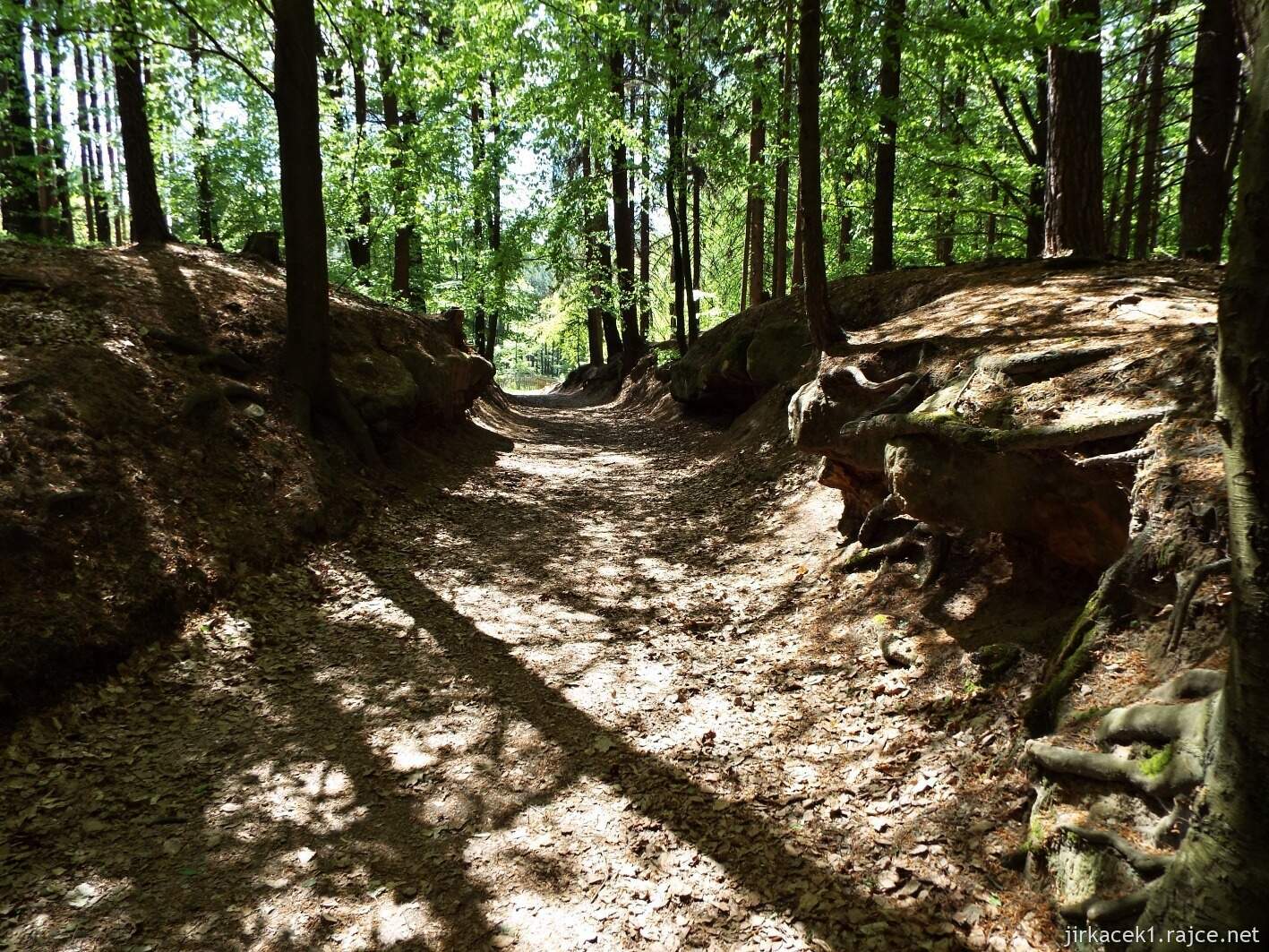 10 - Hruboskalsko 05 - cesta od Hlavatice na Valdštejn