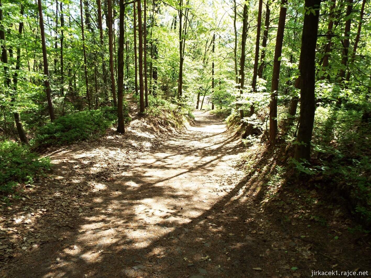 10 - Hruboskalsko 12 - cesta od Hlavatice na Valdštejn