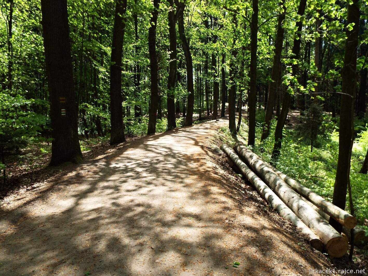 12 - Hruboskalsko 03 - cesta z Valdštejna na na Kavčiny