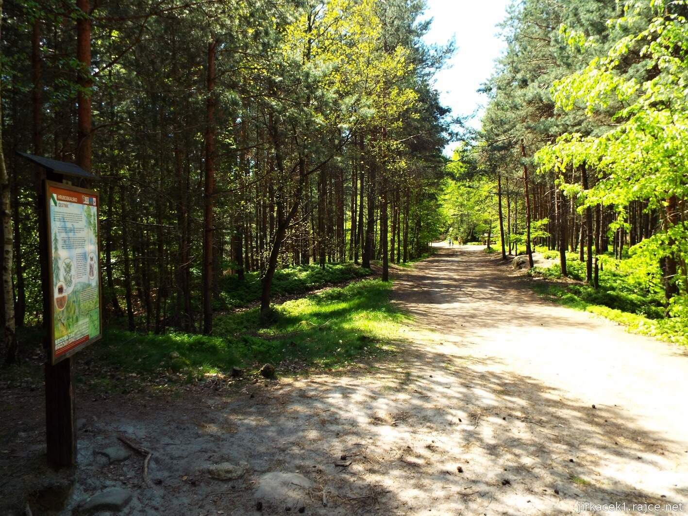 14 - Hruboskalsko 03 - cesta z Kavčin na Kopicův statek