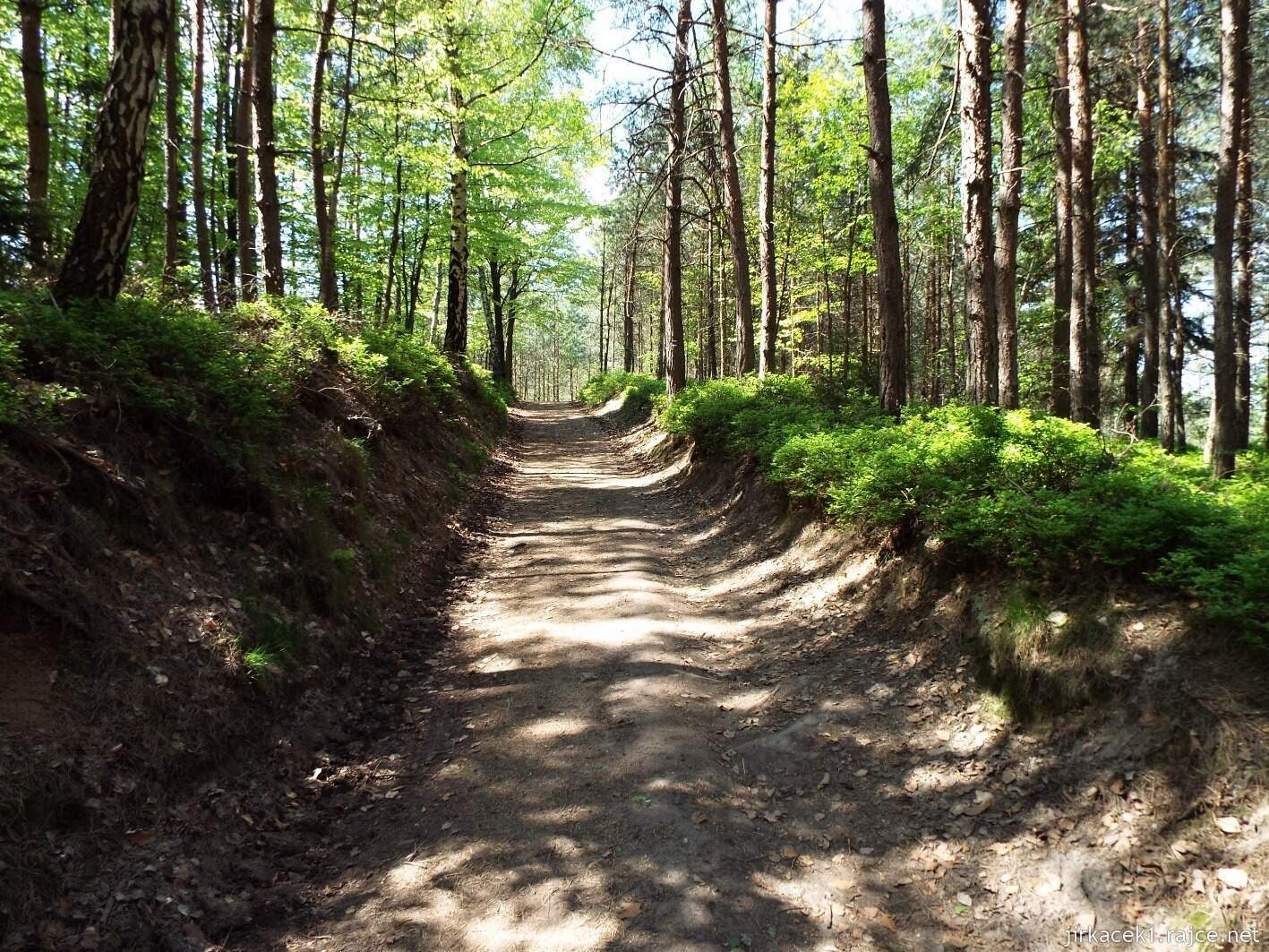 14 - Hruboskalsko 09 - cesta z Kavčin na Kopicův statek