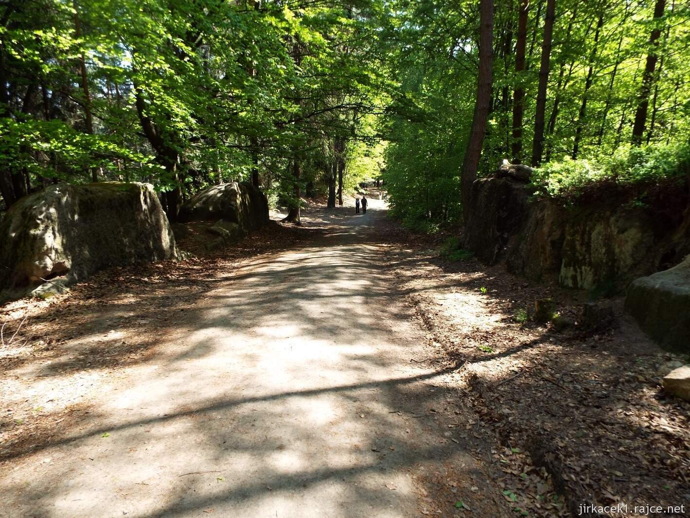 16 - Hruboskalsko 03 - cesta z Kopicova statku na skalní vyhlídky