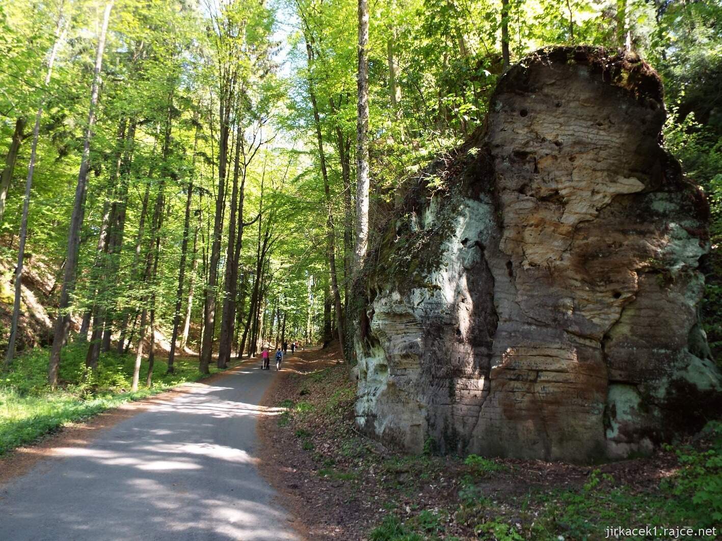 20 - Hruboskalsko 03 - cesta z arboreta na zámek Hrubá skála
