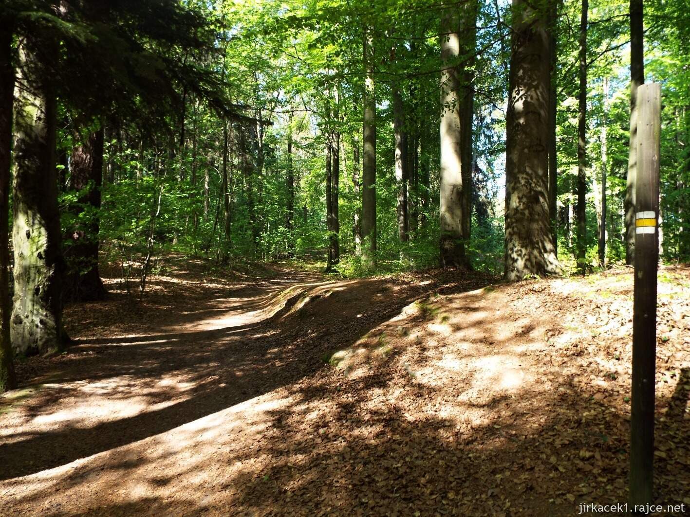 24 - Hruboskalsko 01 - cesta z Adamova lože na Zámeckou vyhlídku