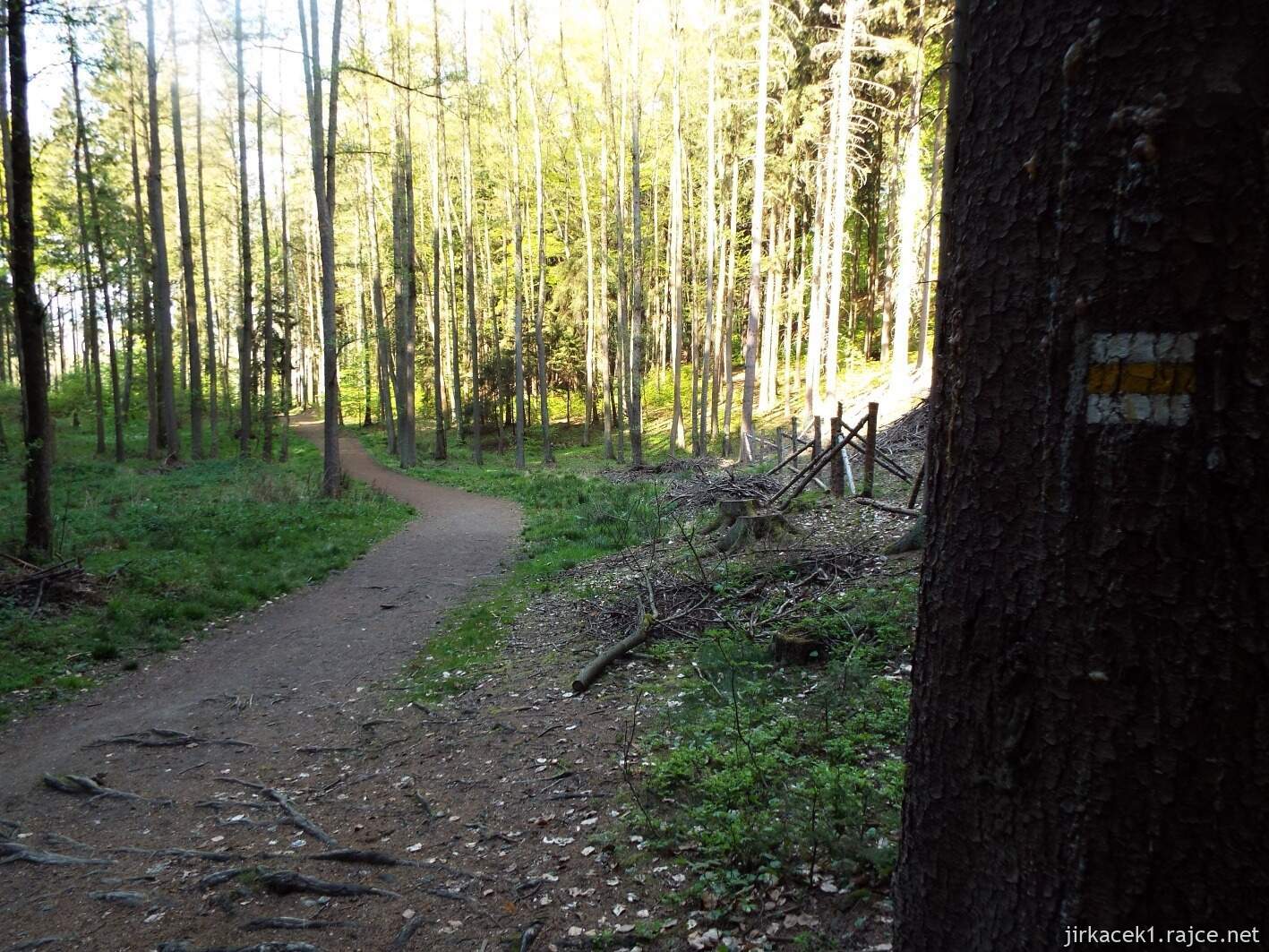 28 - Hruboskalsko 13 - cesta ze hřbitova horolezců k pramenům