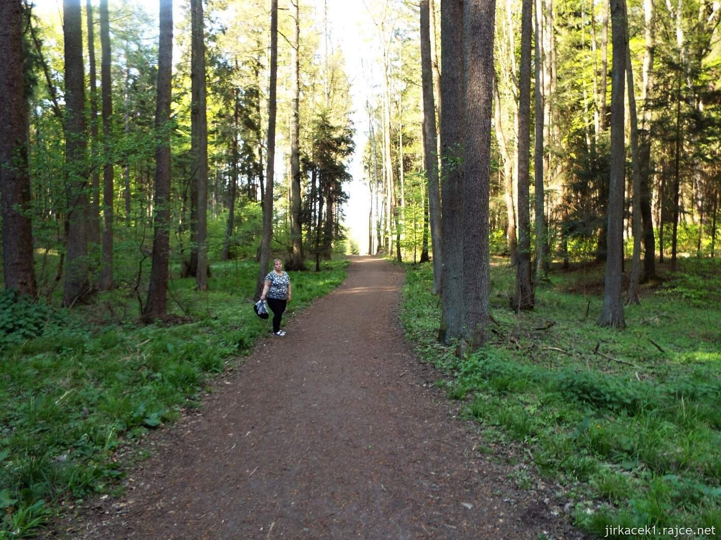28 - Hruboskalsko 16 - cesta ze hřbitova horolezců k pramenům