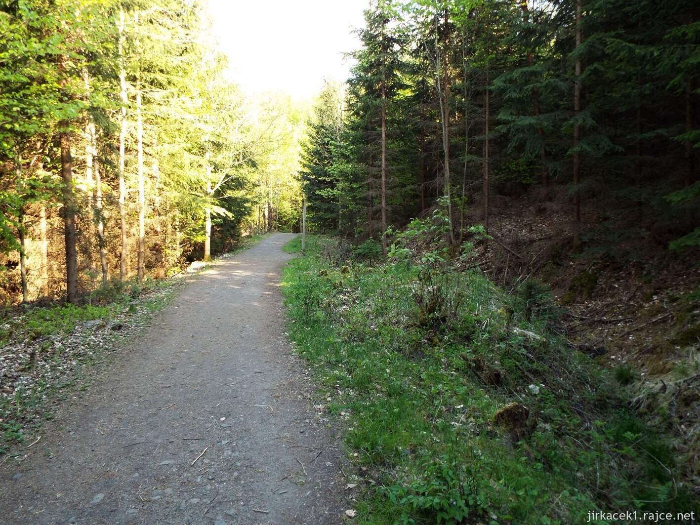 33 - Hruboskalsko 05 - cesta od pramenů do lázní Sedmihorky