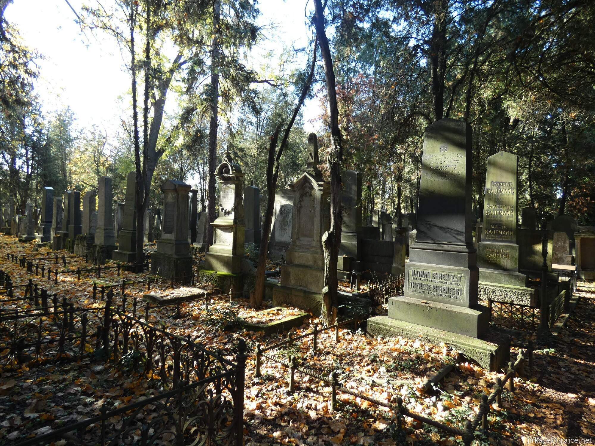 B - Brno - Židenice - židovský hřbitov 036