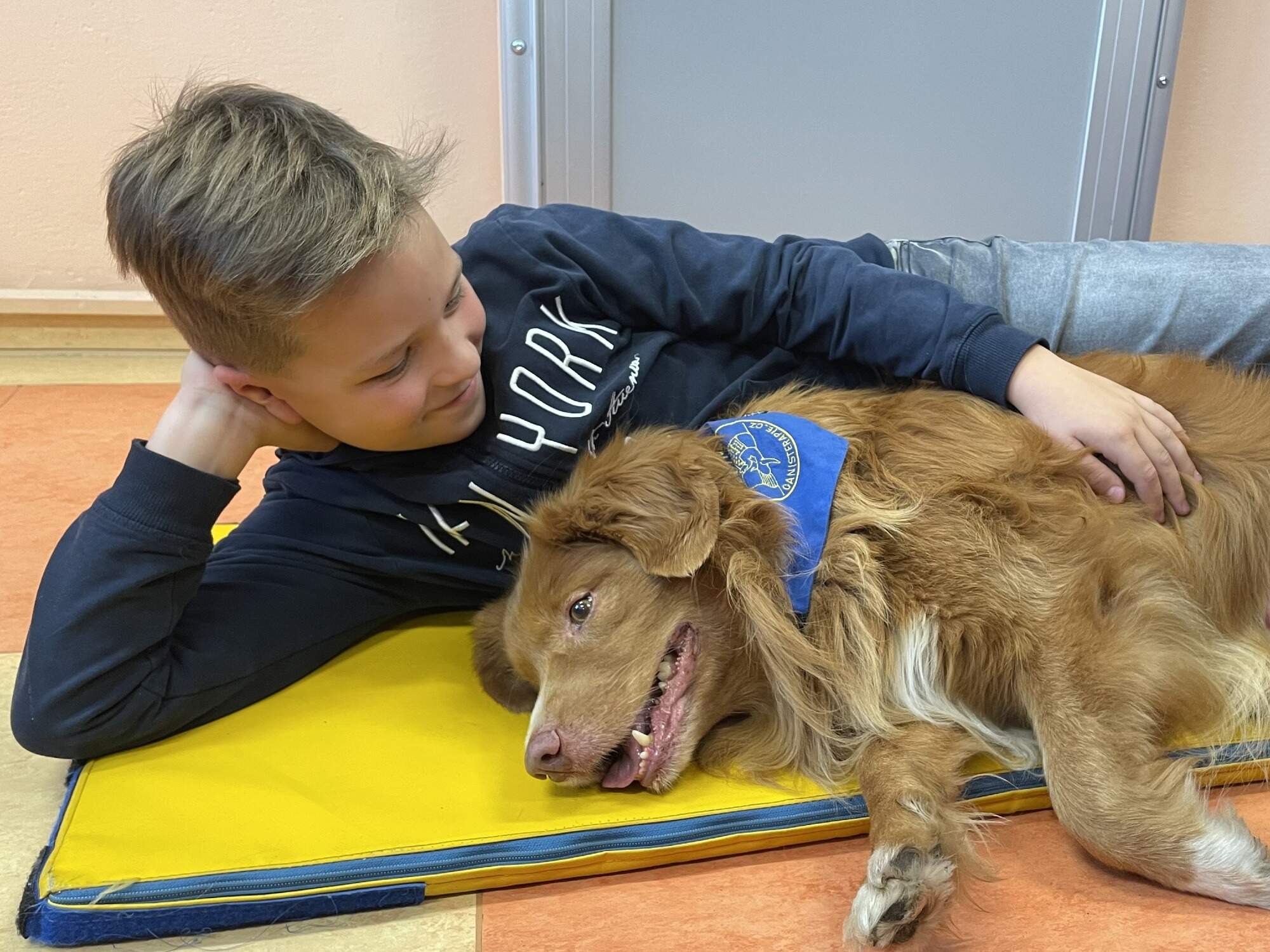 Canisterapie 4.A Canisterapie 4.A