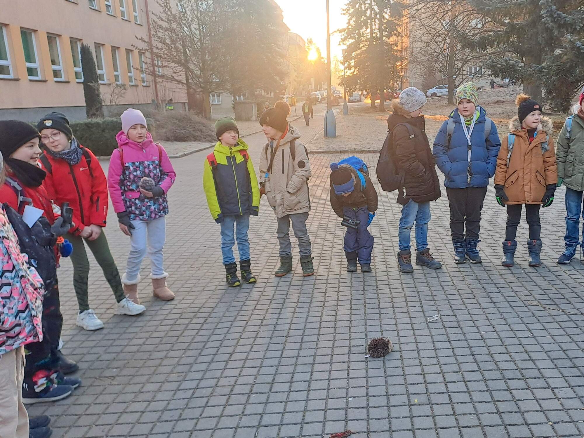 Ježci v Jihlavě 3.C Ježci v Jihlavě 3.C