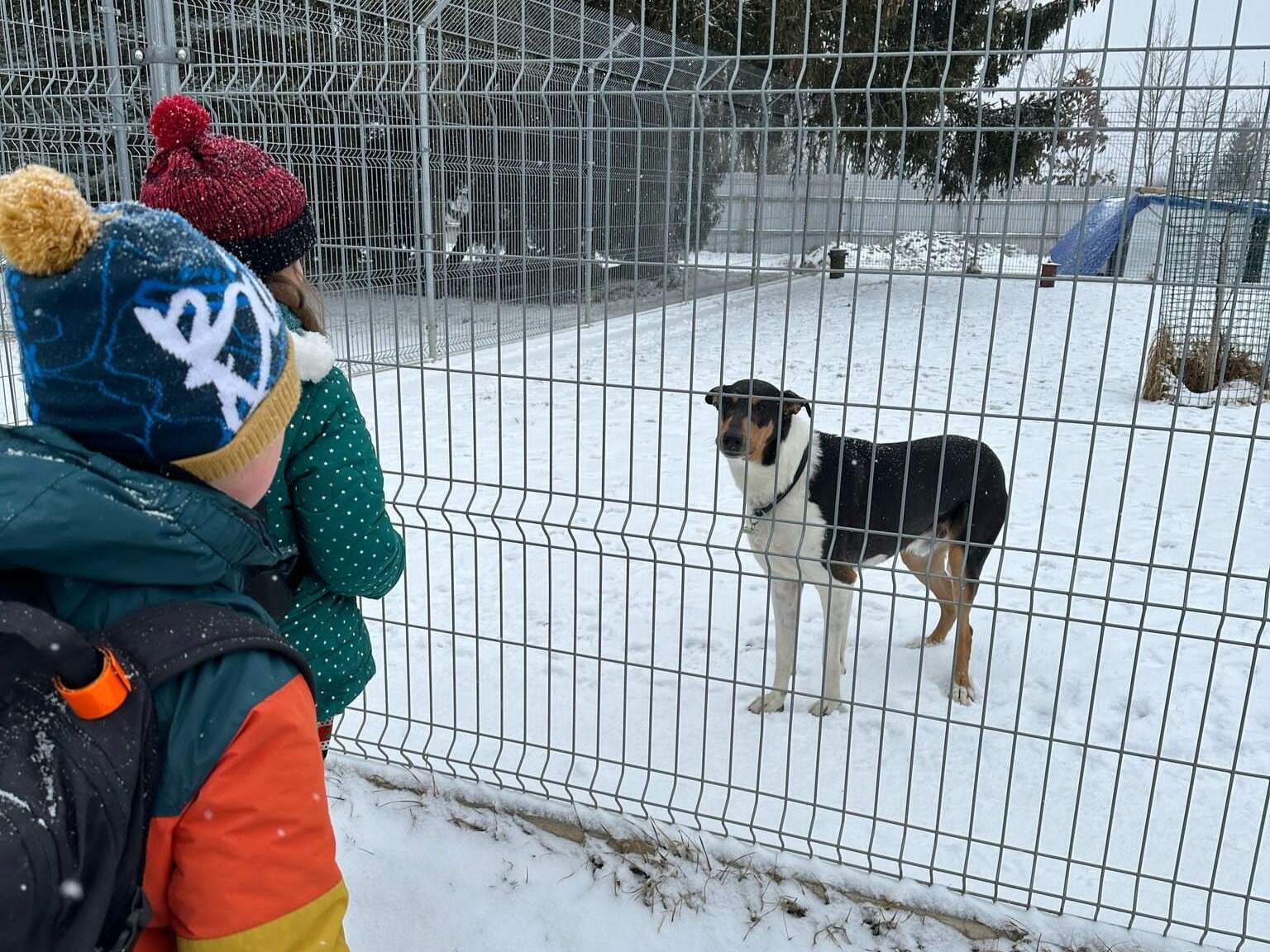 Turisťák - Útulek Turisťák - Útulek