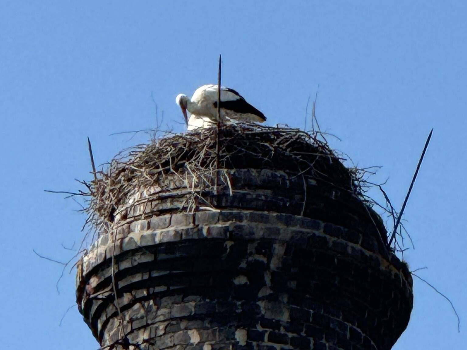 Projektový den: Putování za čápem 1.D Projektový den: Putování za čápem 1.D