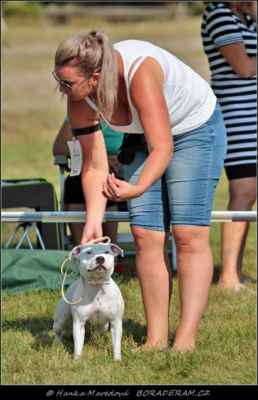 Dessy White Elite Warriorbull (Quality Successor Warriorbull X Original One Tittle Warriorbull) - Feny - třída mladých - V