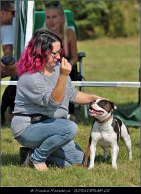 Deedee Lovely Dragonfly (Reggiomonti Dynasty of Noble Warrior X Gate To Paradise Warriorbull) - Feny - třída mladých - V