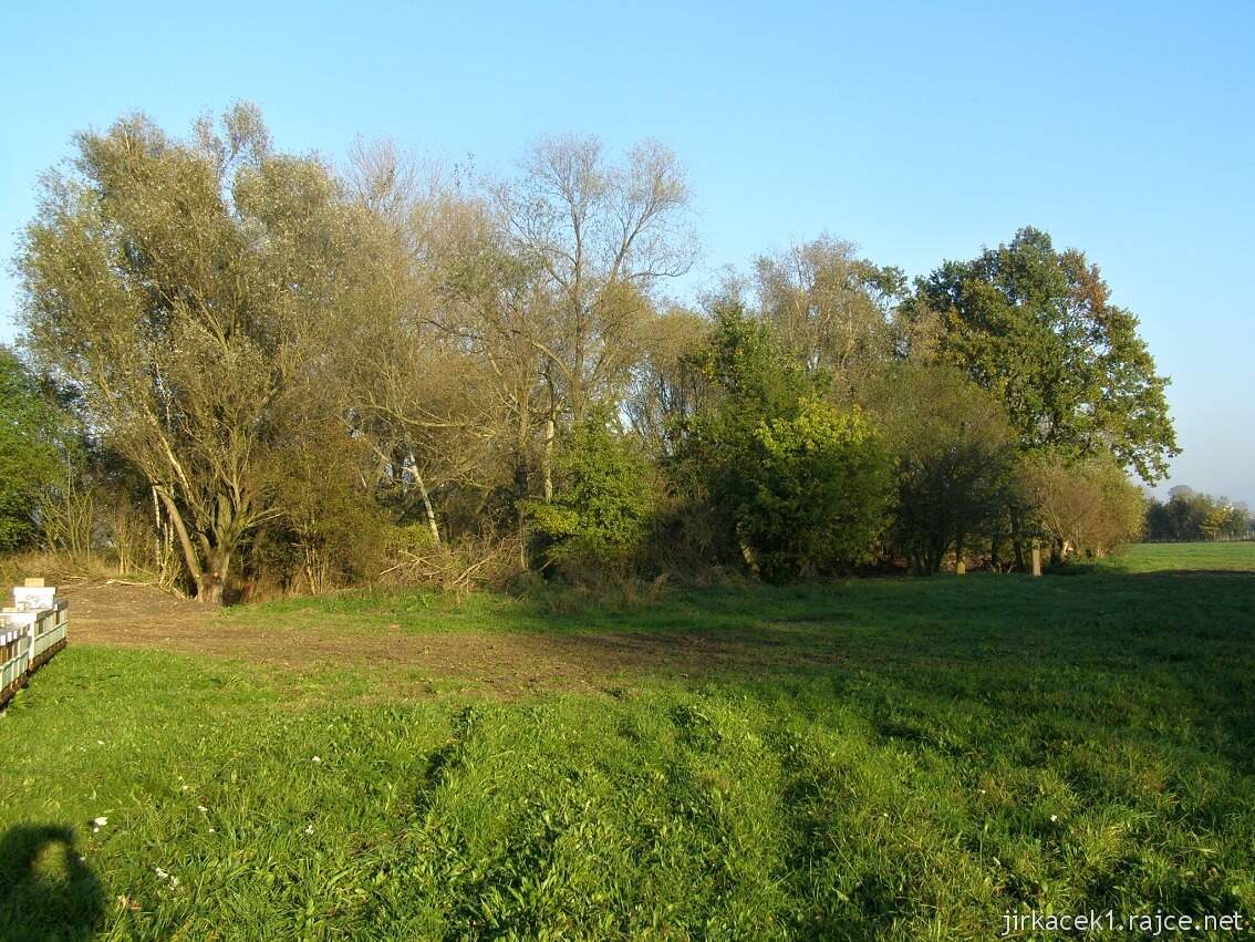 Olomouc - Bázlerova pískovna - podzim