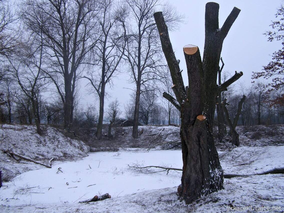 Olomouc - Bázlerova pískovna - zima