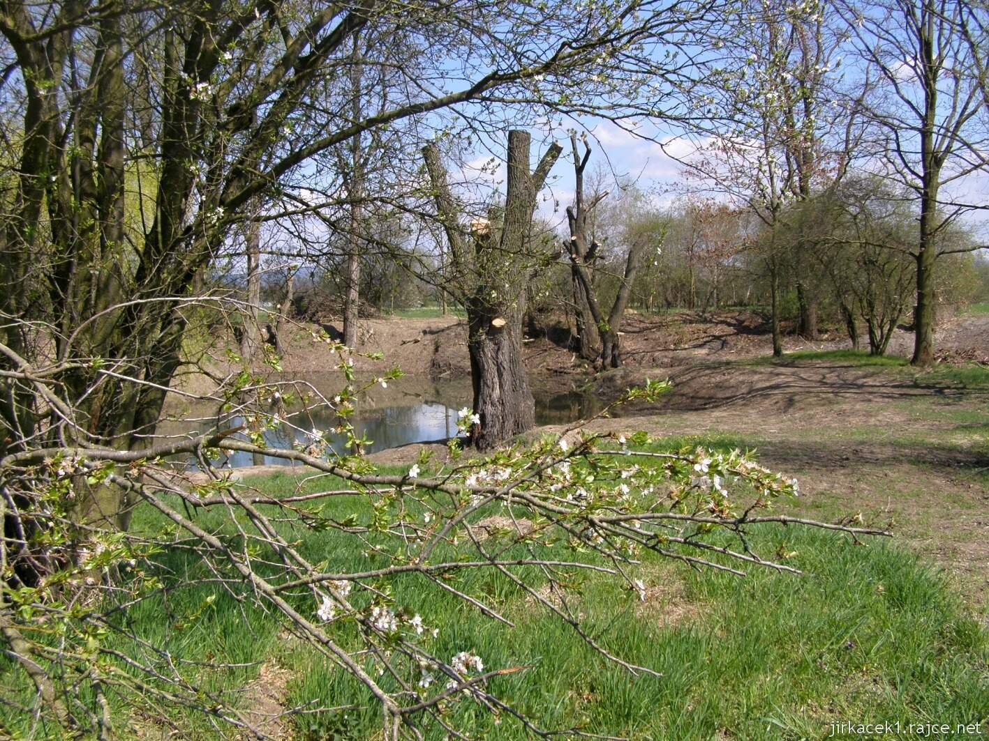 Olomouc - Bázlerova pískovna - jaro