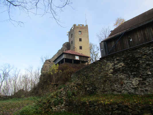 Památkově chráněný areál s pozůstatky raně gotického panského sídla, které bylo zbudováno v druhé polovině 13. století. Hrad s dvojdílnou dispozicí prošel především v 15. století výraznou úpravou a rozšířením o čtverhranné bašty a dělostřelecké opevnění. Zánik hradu Rýzmberk v roce 1655 je spjat s nařízením Ferdinanda III, které rozhodlo o boření některých hradů. Dodnes se dochovaly relikty hradního opevnění, torza budov v předhradí a dominantní věž.