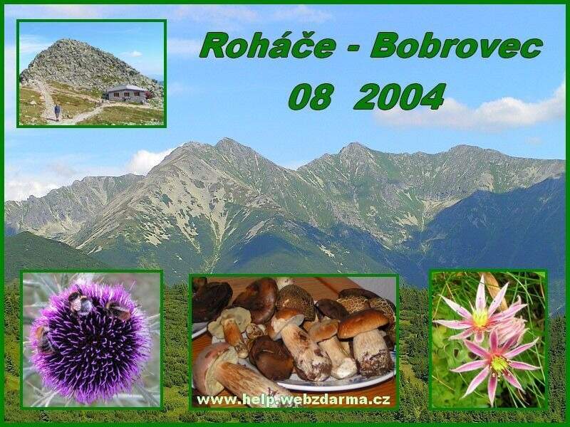 Rohace 2004