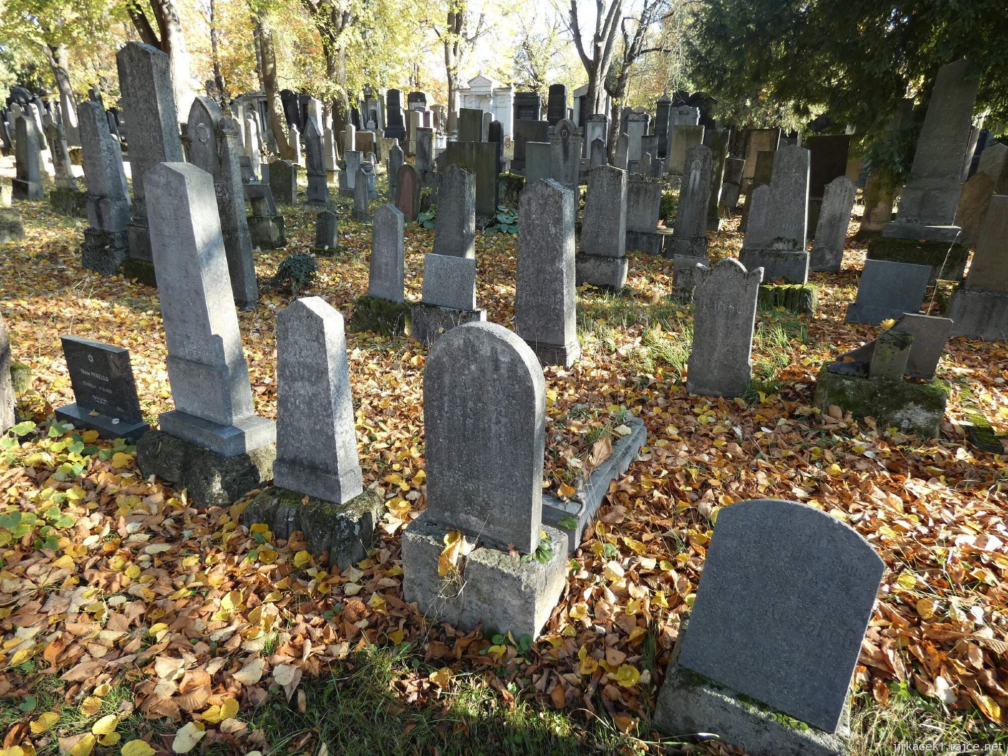 B - Brno - Židenice - židovský hřbitov 011