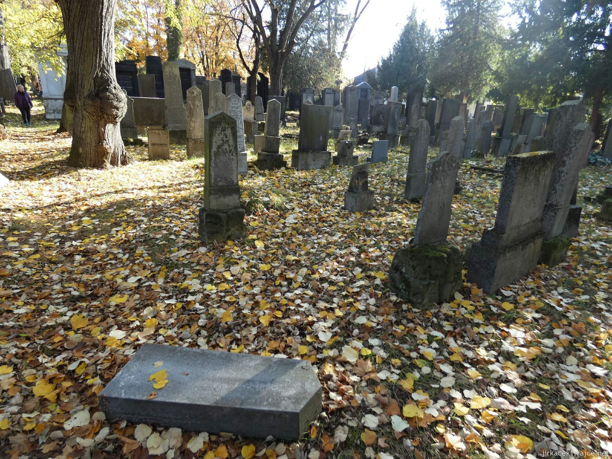 B - Brno - Židenice - židovský hřbitov 053