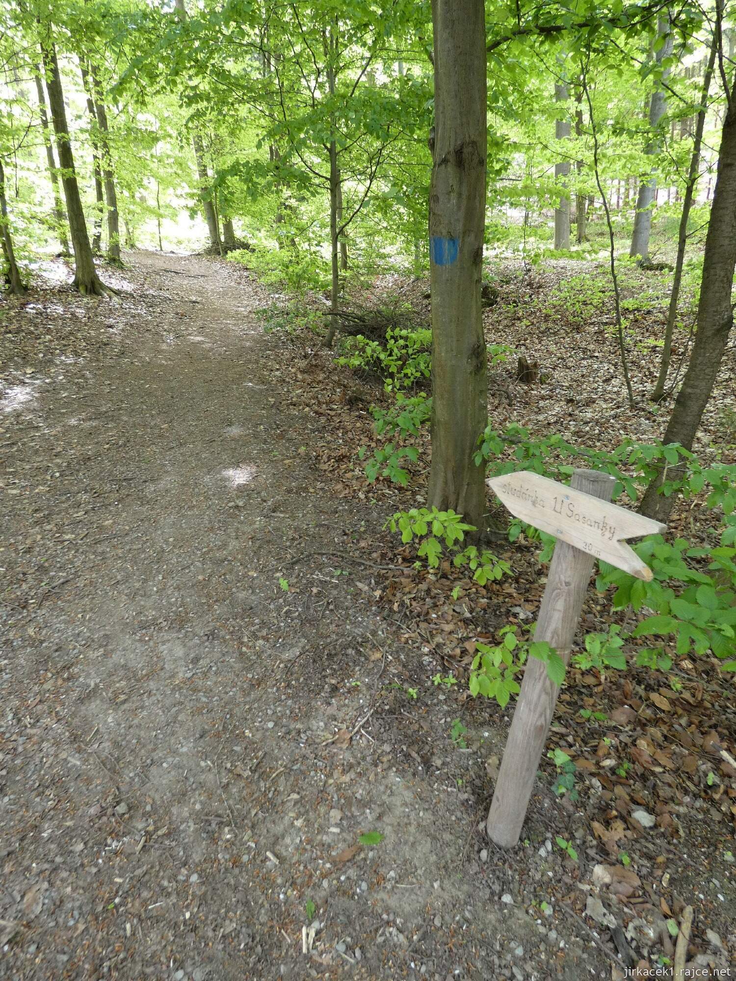 L - Olomučany - naučná stezka - studánka U sasanky 011