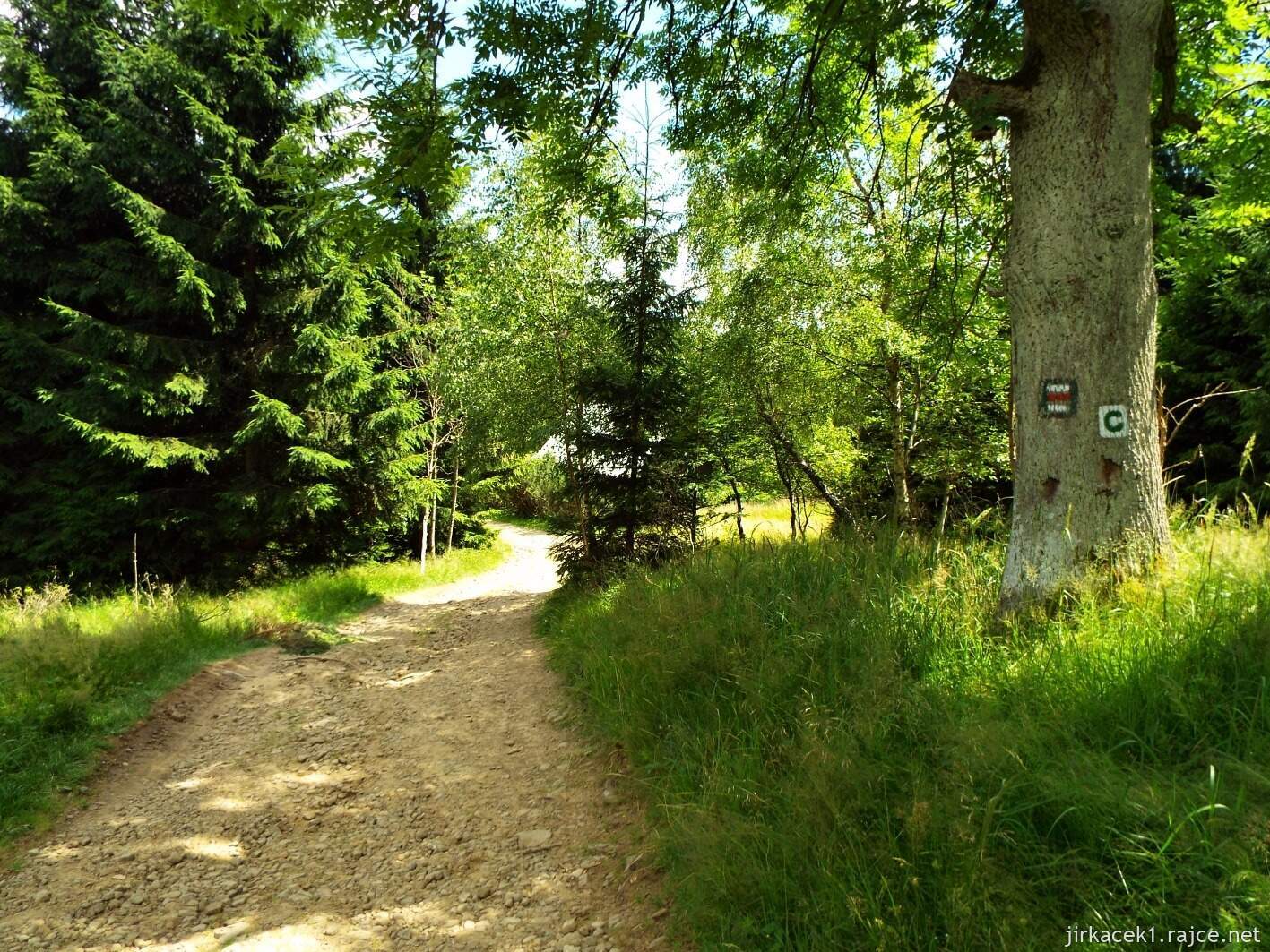 038 - cesta z Masarykovy chaty na Kmínek 03 - závěr prudkého klesání na kamenité cestě