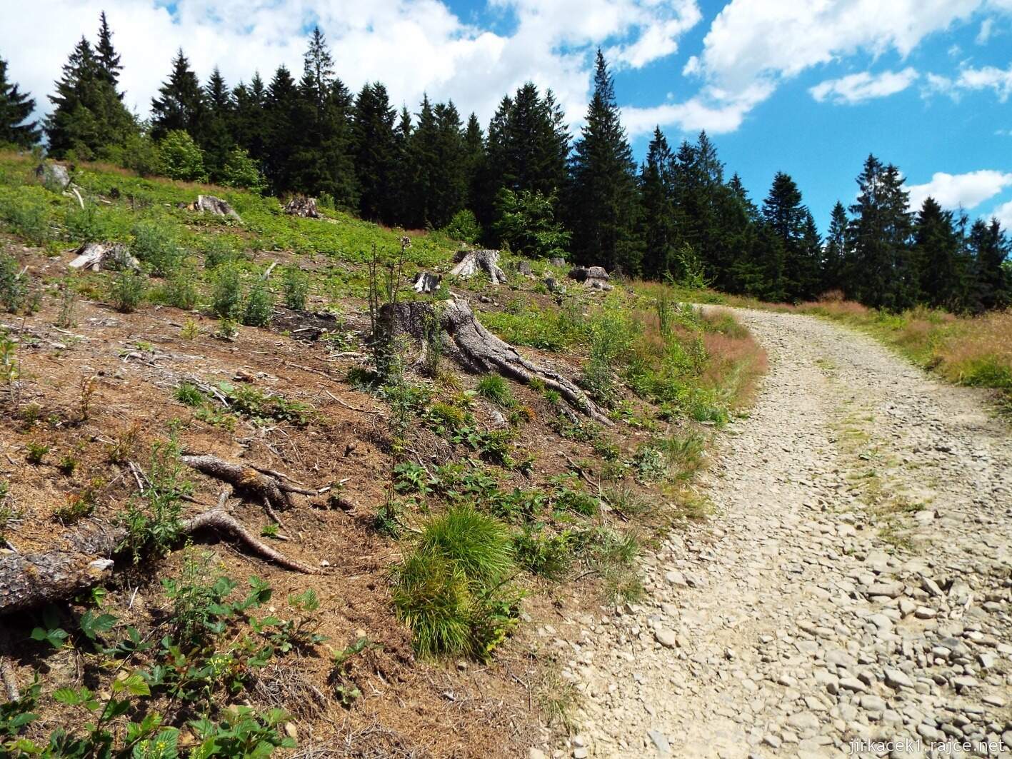 038 - cesta z Masarykovy chaty na Kmínek 09 - stoupání za osadou Smutníky