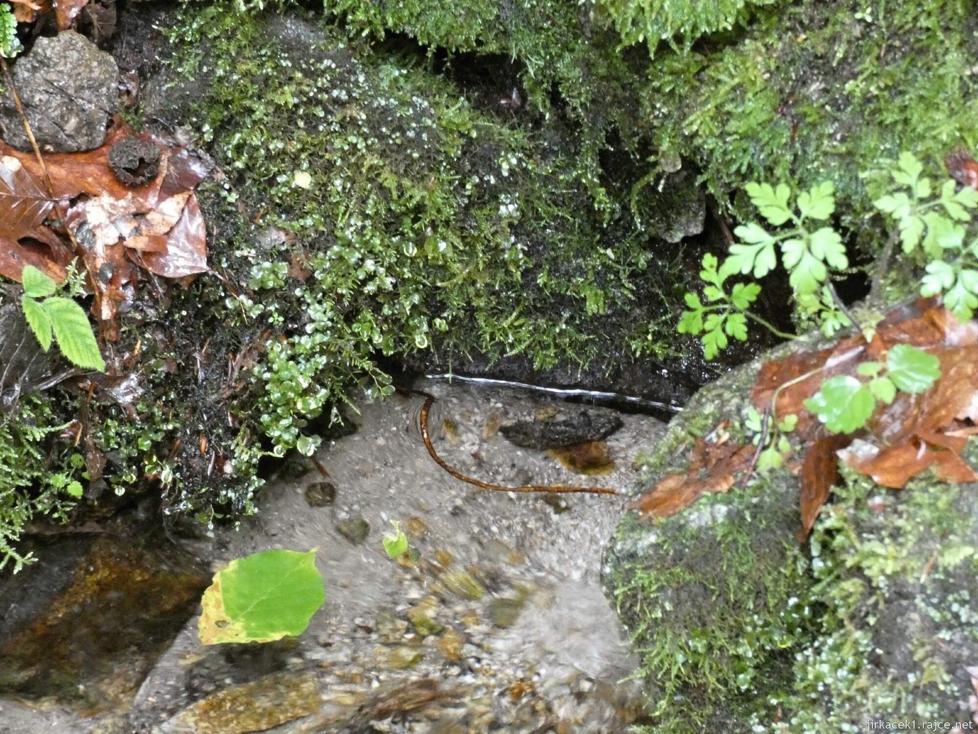 1b - Šútovo - studánka Živá voda 010