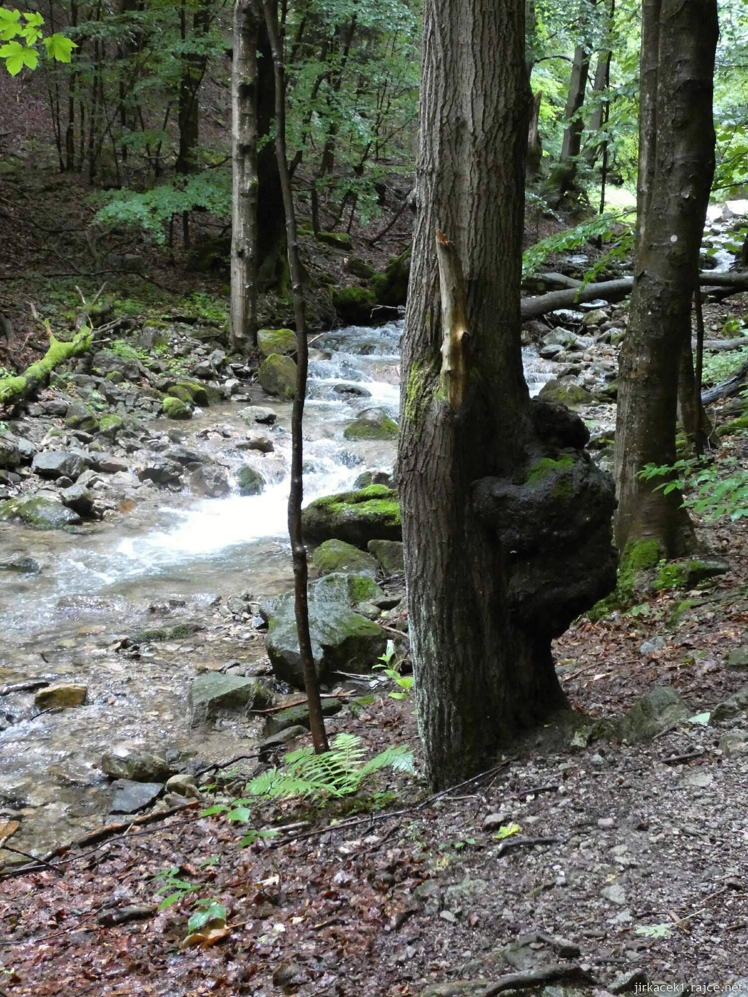 1c - Šútovo - naučná stezka Šútovská dolina a cesta k vodopádu 055