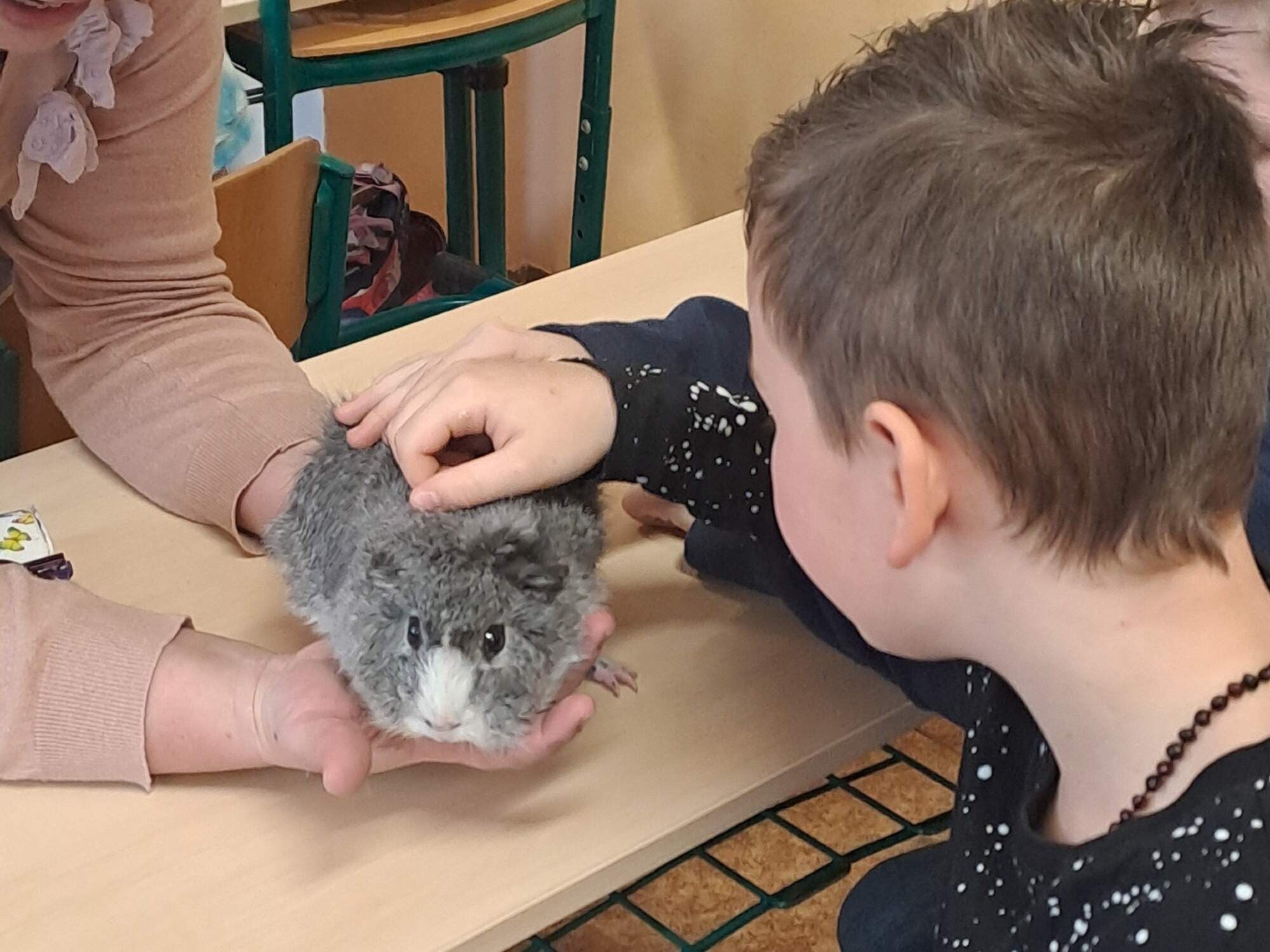 3.C - Zvířátka na dlani 3.C - Zvířátka na dlani