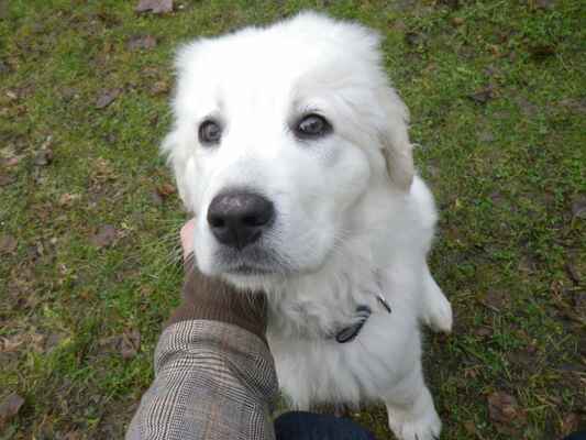 kuk! :)